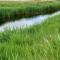 Holiday Home in Scherpenisse with Garden - Scherpenisse