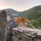 Iconic Italian Townhouse w Rooftop Terrace, Pigna