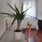 Small house in Vipava valley