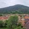 pensiunea carul mare
