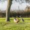 Morgan Sweet, Apple Tree Glamping, Nr Wells - 韦尔斯