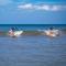 Surf Ranch Tamarindo