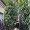 Casa Cacheu Homestay Guest House