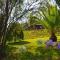 Douro Charming Chalet