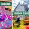 Incrível Casa com Hidro-bikes-centro de Gramado 3Q