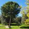 TRULLO ALLA CASINA GIUSEPPINA