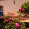 B&B CasaNera