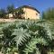 Cascina Vicentini - Alfiano Natta
