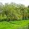 Cherry Blossom, Devon Hideaways