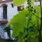 Casa do César Douro Guest House