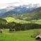 Buttermilchalm - Sankt Martin am Tennengebirge