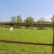 Ribble View