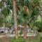 2631 Seabrook Island Road - Seabrook Island
