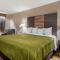 Quality Inn Conyers I-20