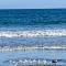 Golf Beach House w/ Pool (5 min. walk to beach!)