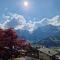 Chalet Gotthelf Gartenstudio, Ferien mit Hund