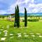 Villa with pool Trasimeno - Panicale