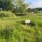 The Dragon's Hut with swimming pool - Wrexham