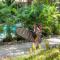 Believe Surf & Yoga Lodge Santa Teresa