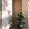 Central apartments “Evanthia”
