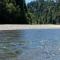 Avenue of the Giants River View Home (#1) - Miranda