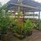 Sandakan Sim Sim Homestay