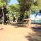 GIANNA A4+2 - Novigrad – Istrie