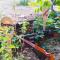 MyParadise-Farm Villa in the centre of South Crete