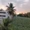 Citrus Home