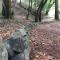 Avenue of the Giants Caraway Cottage (#3)