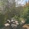 Guest House Casa Cassien