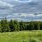 Restu Forrest Glamp