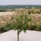 Lemon Hill Villa / Landmark Hosting - 菲尼孔塔