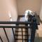 BnB Hotel Shymkent