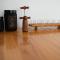 Apartman Milutin