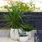 Blue Shell Trogir Apartment - Trogir