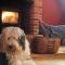 Hound and Human Holiday Cottage - Redgrave, Suffolk - ديس