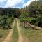 Casa Belvedere -tranquillità tra bosco e ulivi-