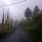 Silent Valley, Lamagaon - Kalimpong