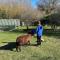 Casa de Campo con Bosque y Pileta - Tandil