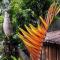 Beach Jungle - Pet-Friendly Hot Tub, Firepit & Pool in Beachside Hideaway - Byron Bay
