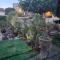 site paradis rue colibri