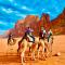 Wadi Rum Jordan Camp