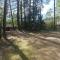Fantastyczny domek w lesie