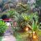 Selva Linda Lodge jungle wildlife vue and birdwatching