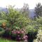 Ferienwohnung-Panoramablick-1