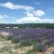 Provence ventoux sault
