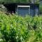 Conteneur avec spa privé face aux vignes