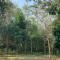 Ecohabitat Calakmul