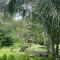 Ecohabitat Calakmul